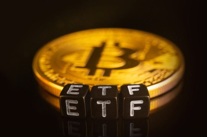  Bitcoin ETFs Add $203 Million as Assets Climb Above $80 Billion