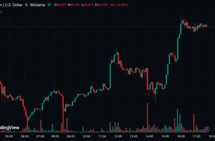  Bitcoin Roars Back Above $65K as Iran War Fails to Break Whale Buying Frenzy