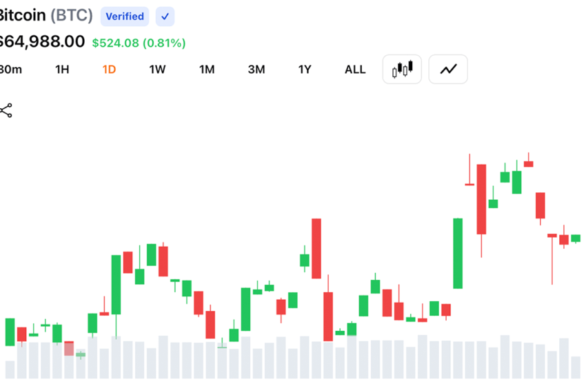  Bitcoin Tops $65,500 as $209 Million in Crypto Shorts Collapse Across Markets