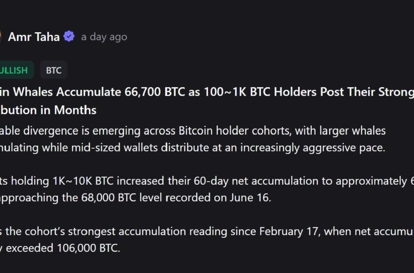  The Dramatic Shift in Bitcoin Ownership Splitting the Market