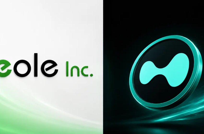  Eole Makes Japan’s First HYPE Treasury Buy, Targets a $611K Stake