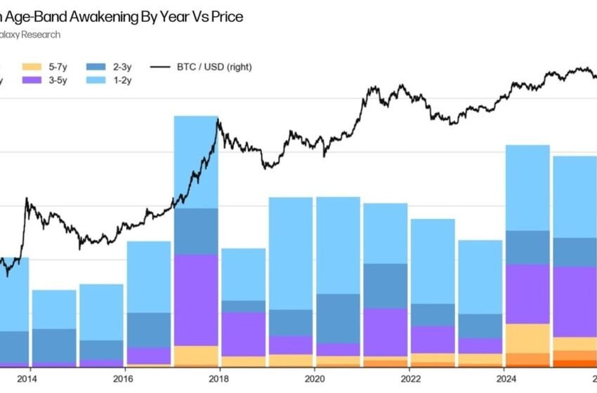  Bitcoin Whales Are Not Selling Over Quantum Fears, Analyst Says