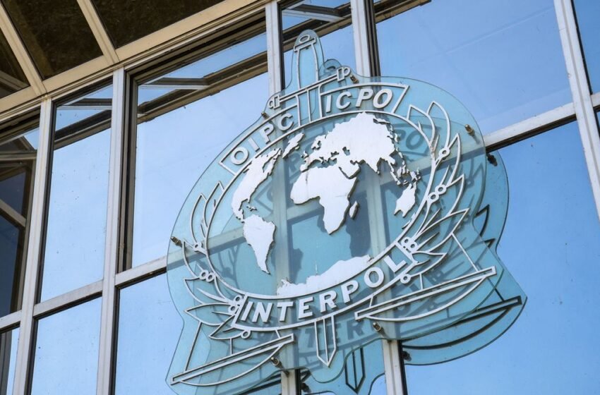  Interpol Finds $122 Million Crypto Wallet In Romance Scam Case
