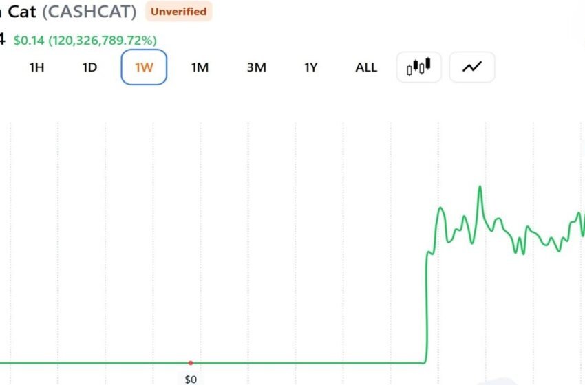  This Trader Sold His CASHCAT for $711 Instead of Retiring: Here’s the Math