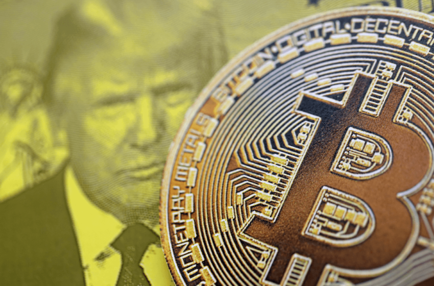  The Fed Liquidity Signal That Predicted Bitcoin’s Top 8 Months Early