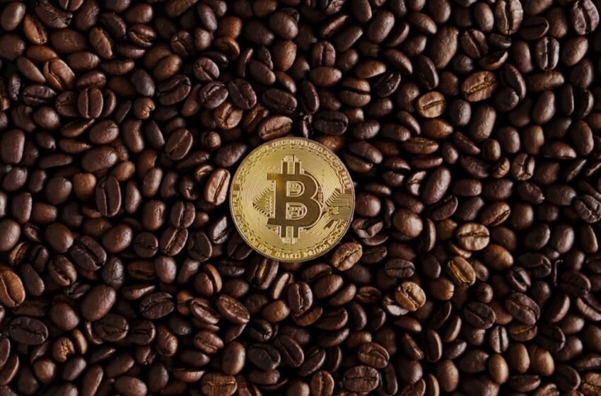  Vanadi Coffee’s Bitcoin Pivot Soured by Exorbitant Board Fees and Shareholder Revolt