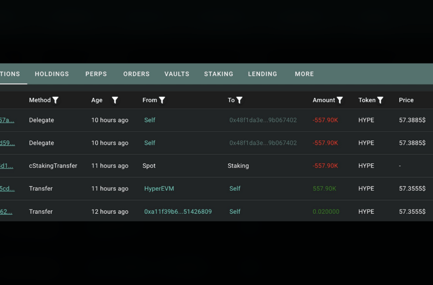  Whale Stakes $32.87M in HYPE as Token Trades 25% Below Its June Peak
