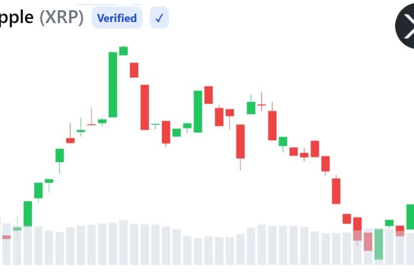  XRP Bearish Trend Deepens as Weak Liquidity and Falling Open Interest Signal Caution