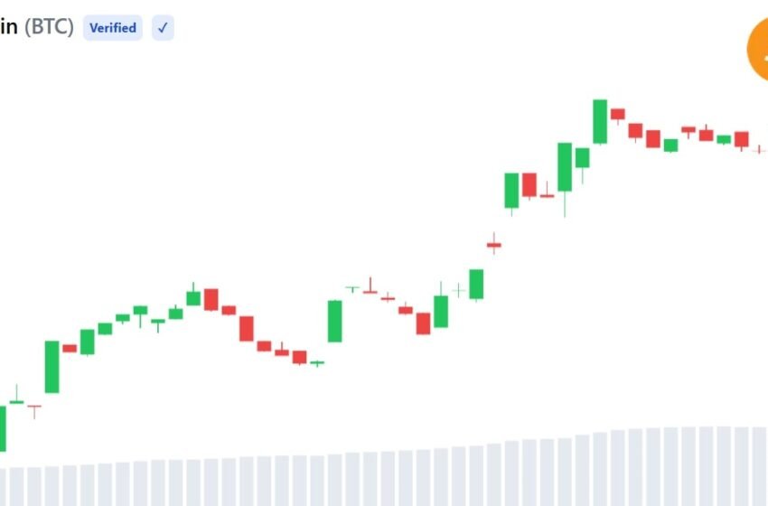  Bitcoin Supply Squeeze Unwinds as 28,000 BTC Return to Exchanges