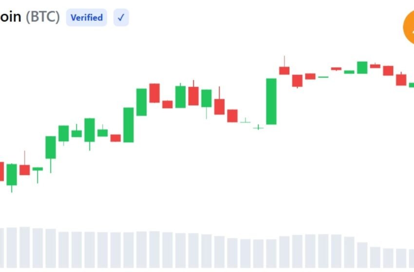  Arthur Hayes Warns Bitcoin May Fall to $50,000 Before $1 Million