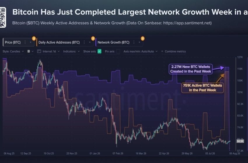  Bitcoin Wallets Spike to 2026 High as Coldcard Hack Fallout Spreads