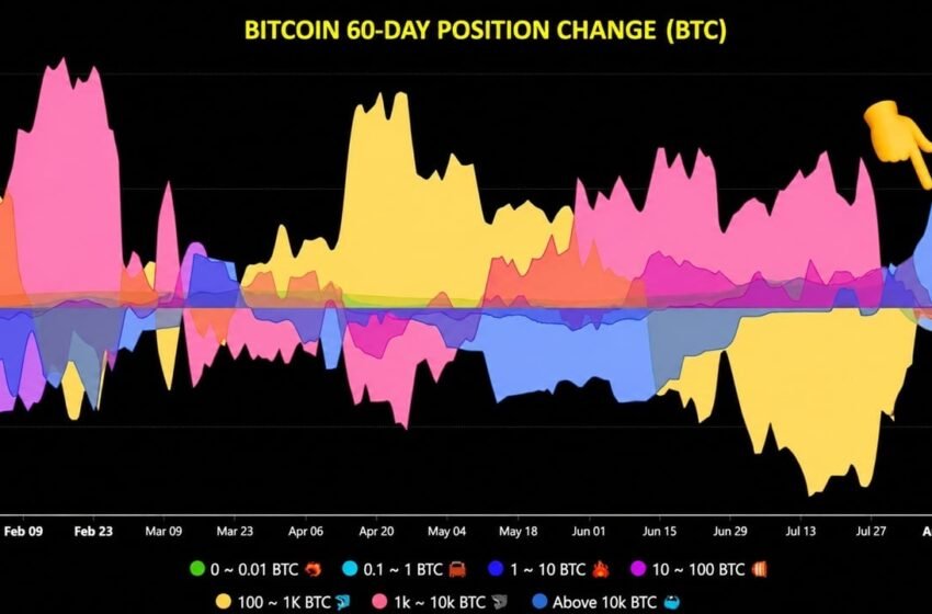  Bitcoin Whales Add 43,000 BTC, Ending Months-Long Selling Spree – Bitcoin News