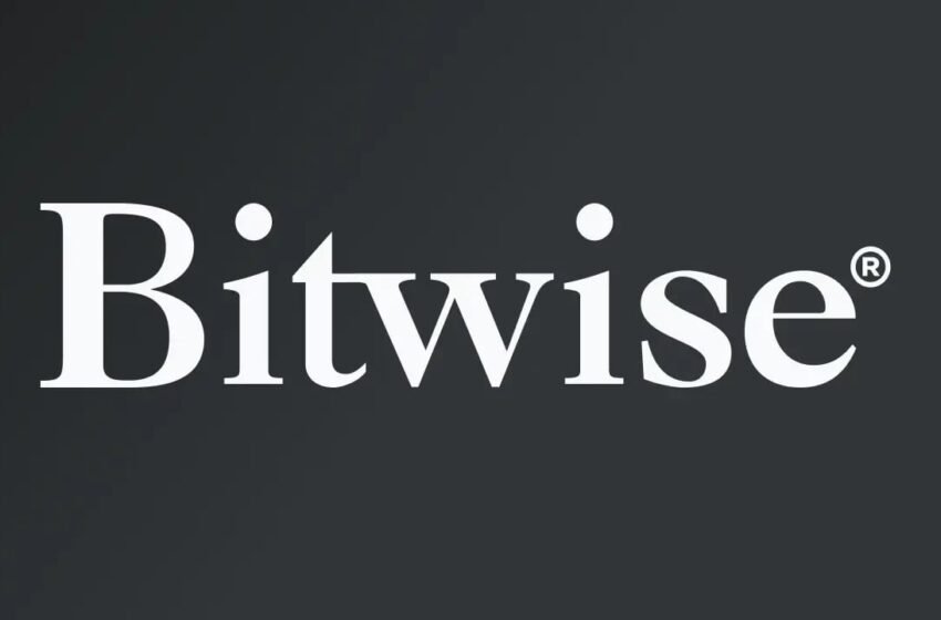  Bitwise CIO Sees Crypto Bull Case Strengthening on 5 Key Shifts
