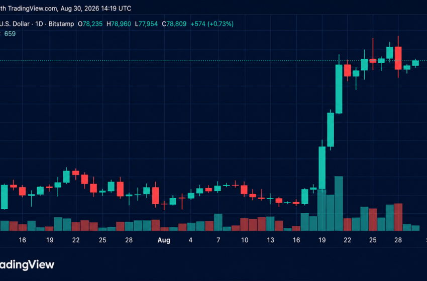  Bulls Reload for Another Assault on $81K as Bitcoin’s Price Rises