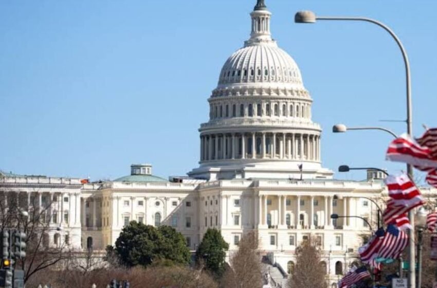  Senator Seeks Trump Crypto Ban as 63% Call His Profits Inappropriate