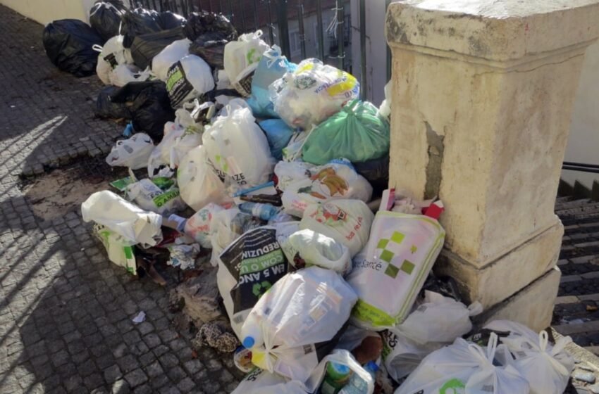  Italy Bin Crew Recovers $1.15M Lottery Ticket Thrown Out Over One Word