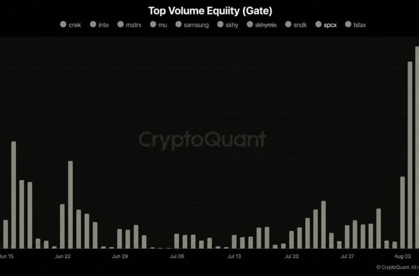  Musk’s SpaceX Stock Rallies 6% as Tokenized Volume Hits $700M