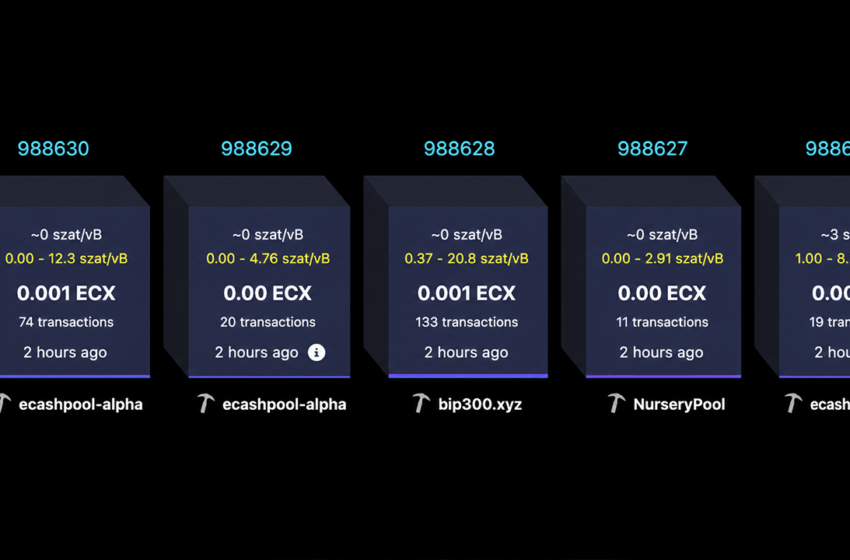  Paul Sztorc’s Bitcoin Fork ECX Rips Past 25,000 Blocks in Just 13 Hours – Bitcoin News