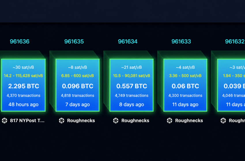  Replay Attack Alarm Grows as BIP-110 Backers Brand Bitcoin ‘Spamcoin’