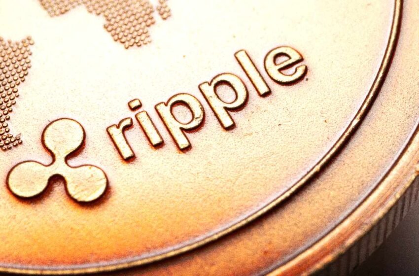  Ripple Prime Expands Into Equity Derivatives With Delta One Launch