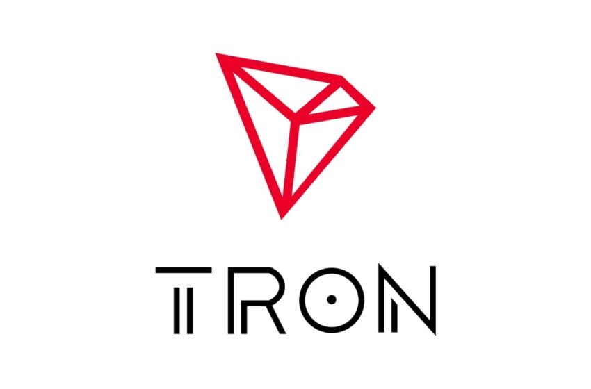  Tron Captures 52% of Low-Value USDT Transfers Globally