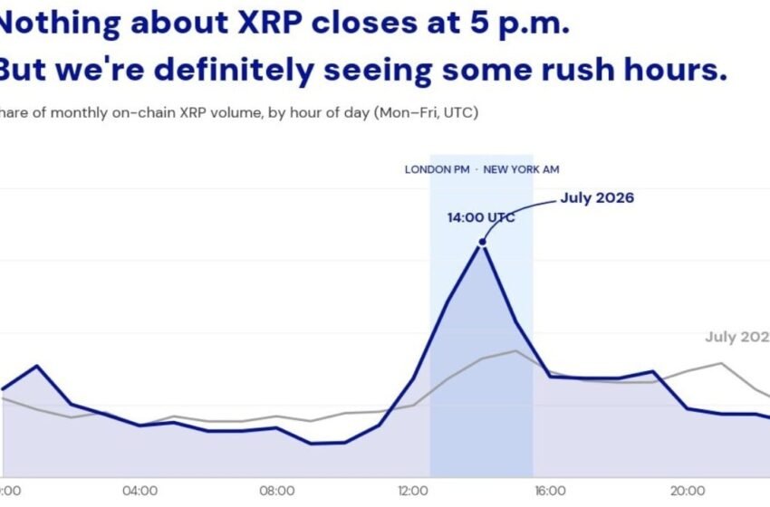  XRP Sees 23% of Onchain Trading Volume in a Three-Hour Trading Window