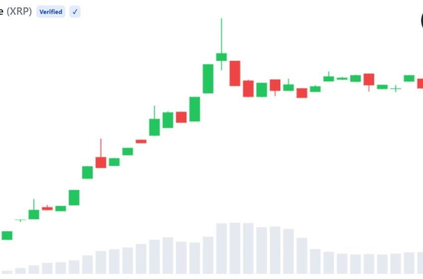  Bitwise XRP ETF Trading Volume Tops $200M Across Three Sessions