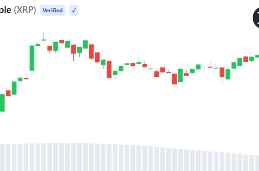  XRP Active Addresses Hit 2-Month High as Sentiment Turns Bearish