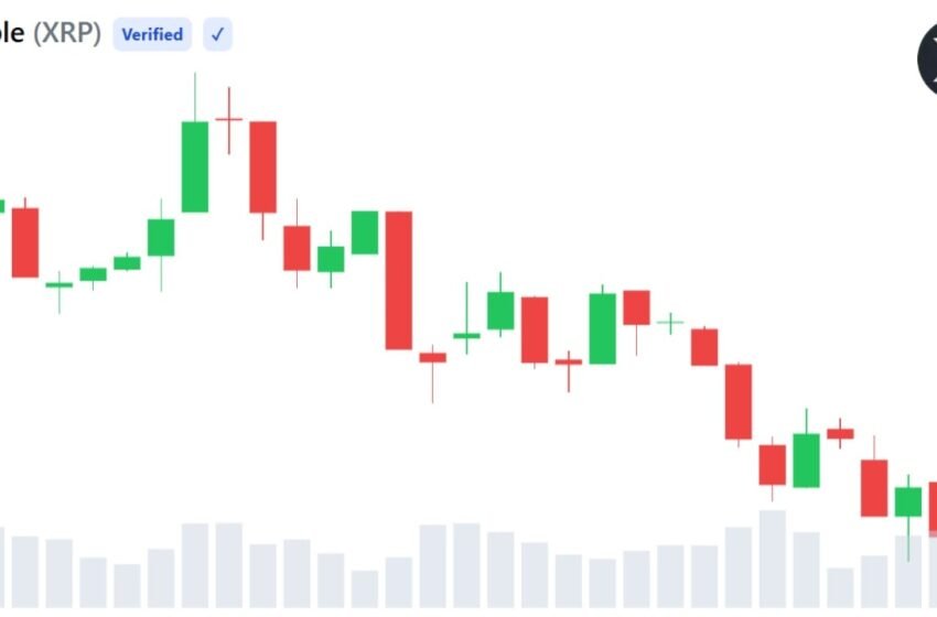  XRP Slides 69% From Peak While Existing Wallet Activity Climbs