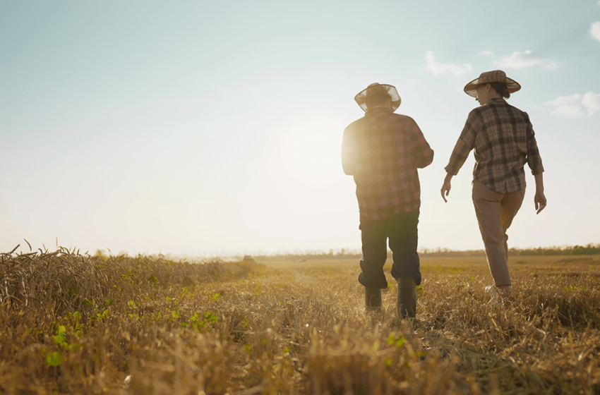  A 52-Year-Old Mississippi Farmer Faces Elon Musk’s Data-Center Push
