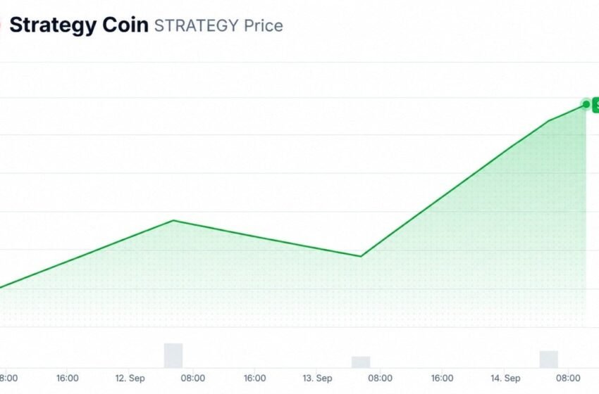  A $7M Memecoin Named After Saylor’s Strategy Runs on Tokenized MSTR