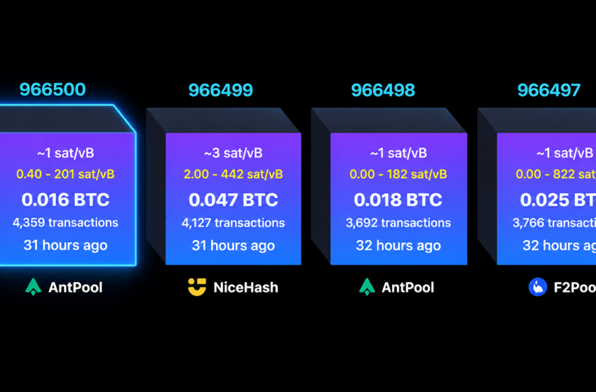  Bitcoin Miners Found 2 Valid Blocks, Then One Was Left Behind