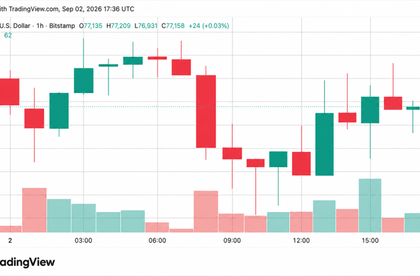  Bitcoin Price Resists $76K Dip as Analyst Flags Next Buy Zone at $74K