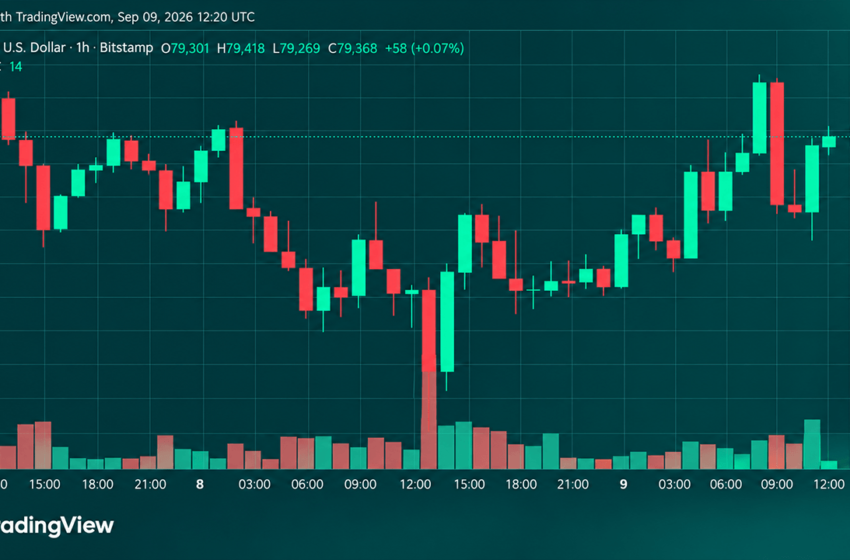  Bitcoin Price Roars Back From $77,603 as Bulls Eye $80,000