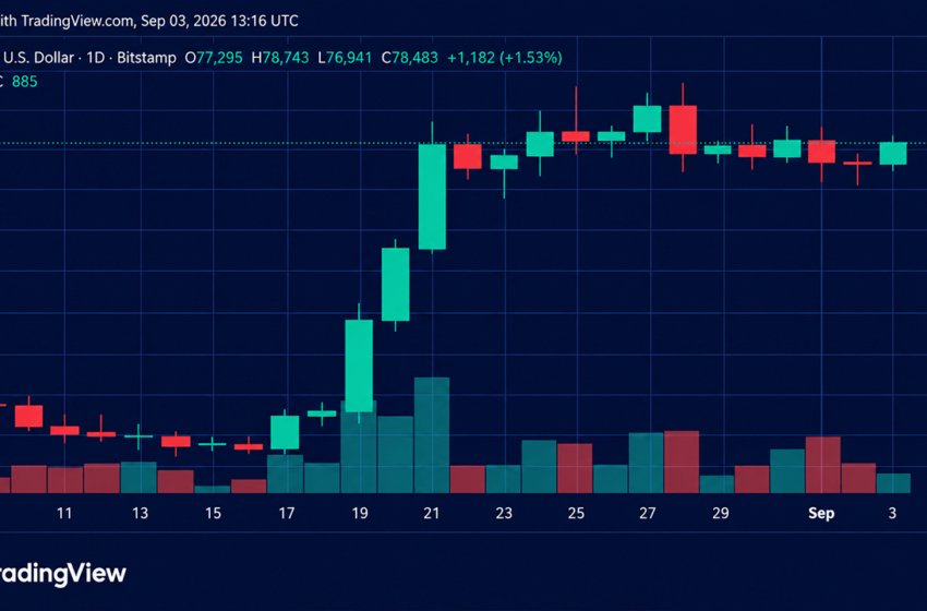  Bitcoin Price Surges as Bulls Slam Into $79,000 Resistance