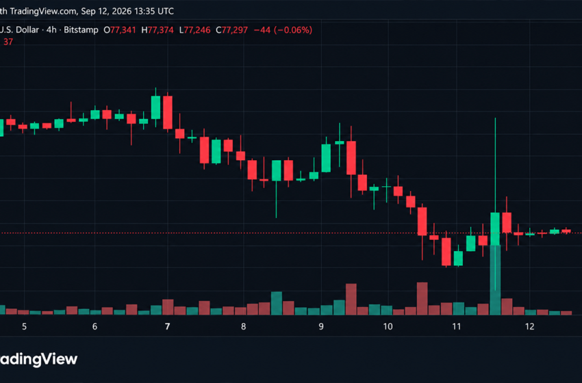  Bitcoin Price Takes a $3,215 Ride Just to Land Back at $77K