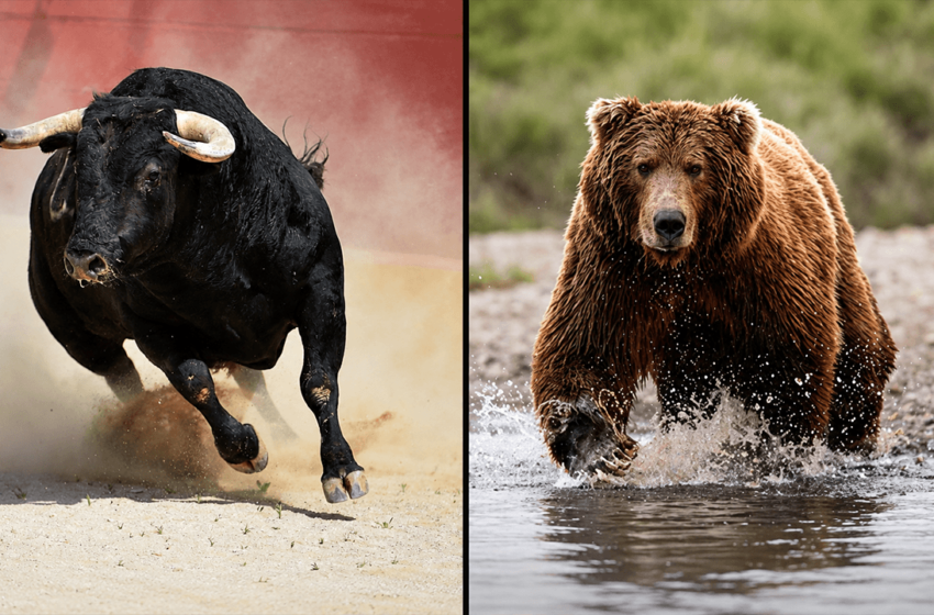  Bitcoin Price Predictions Pit $400K Bulls Against $10K Bears