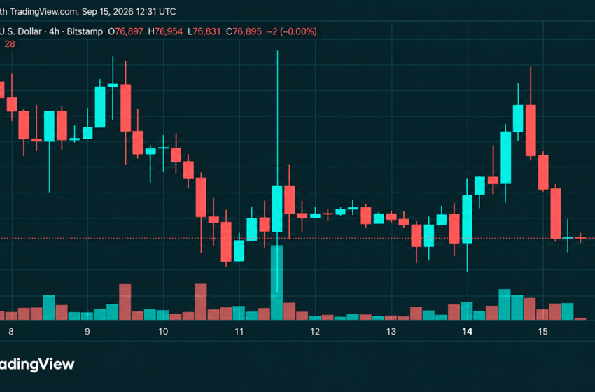  Bitcoin’s Price Is Sitting on Support After a Brutal $79K Rejection