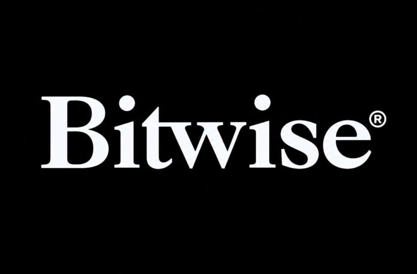  Bitwise CIO Calls Bitcoin and Zcash Assets to Own for the Next Decade
