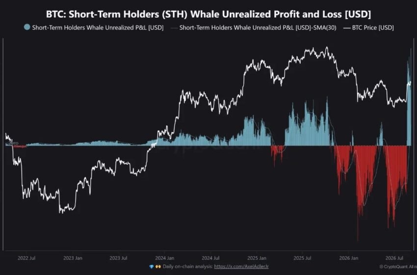  Bitcoin’s $9.07B Whale Profit Record Puts Rally Floor to Test