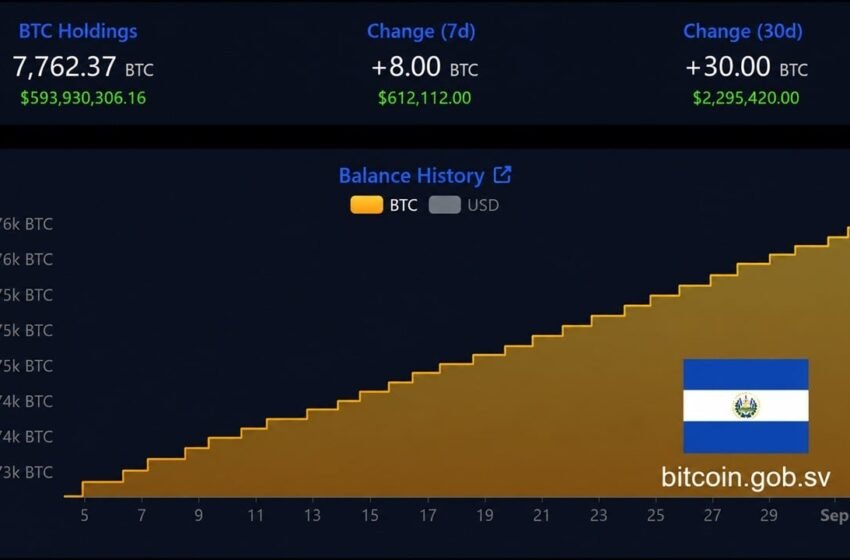  El Salvador’s Bitcoin Stash Grows to 7,762 BTC Despite IMF Reservations