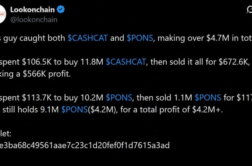  How CASHCAT and PONS Turned $220K Into $4.7M on Robinhood Chain
