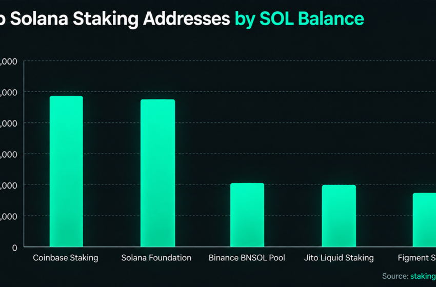  Inside Solana’s Staking Giants and the Mystery Whales With Billions