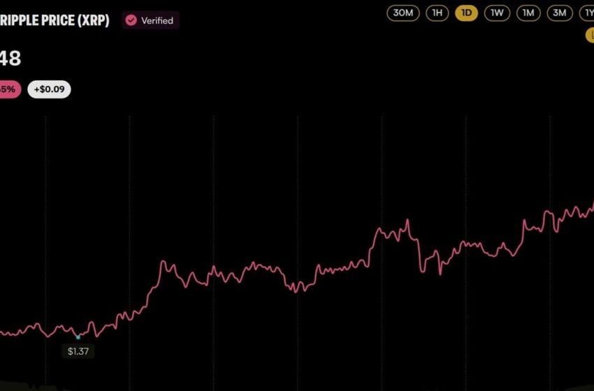  Here’s What Launched – Bitcoin News