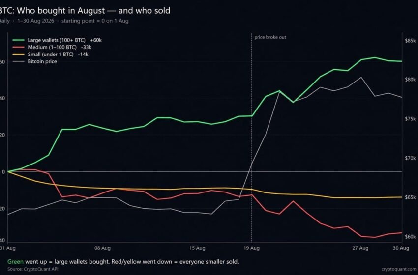  Bitcoin Price Rally Hid a 60,000 BTC Whale Buying Spree