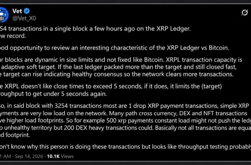  XRP Ledger Broke Its Transaction Record, and 20 Wallets Did Most of It