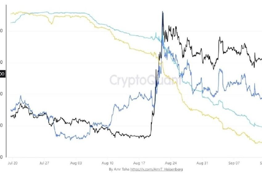  XRP Open Interest Plunges 32% on Binance as Spot Sellers Beat Buyers