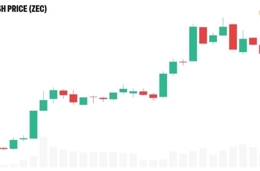  Privacy Coins Outrun Bitcoin as Market Rotates Into Zcash and Monero