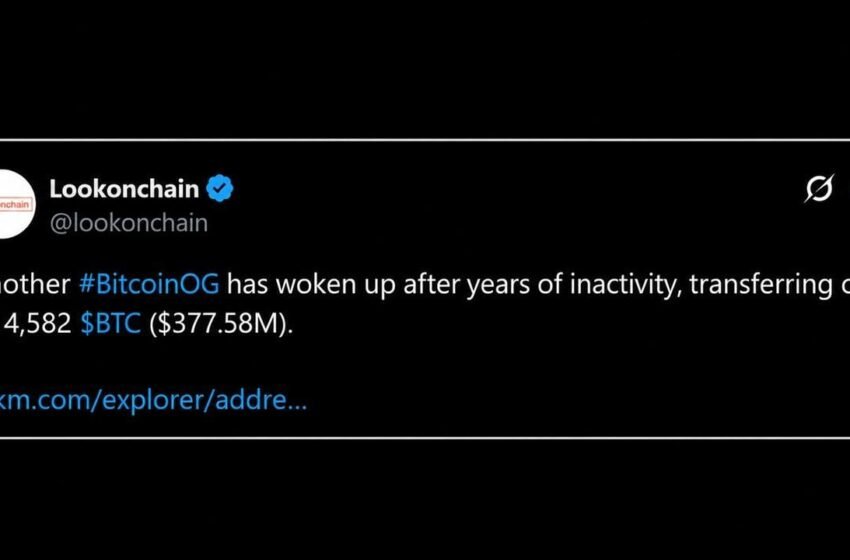  A $377M Bitcoin Whale Wakes up While Another Dumps BTC for Ether
