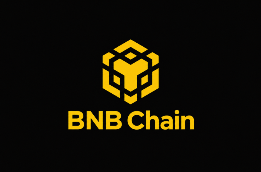  BNB Chain Hits 2 Million RWA Holders, Capturing 40% of Onchain Market